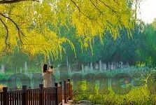 国精产品一区二区-探索国精产品一区二区的独特魅力与价值