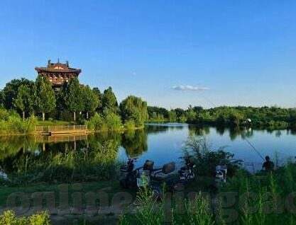 麻豆成人91精品二区三区-麻豆成人91精品二三区，网络内容多元，审美倾向浅探