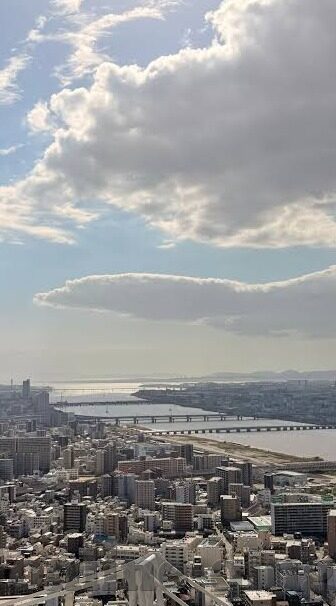 麻豆传媒账号-搜索光影下的隐秘角落，麻豆传媒账号的数字迷踪