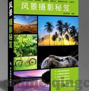 麻豆传媒之光-麻豆传媒之光——新兴数字平台的创意与责任并重