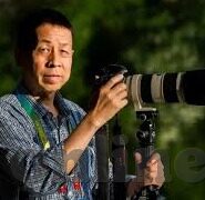 麻豆蜜桃国产精品免费视频-记我心中的奇异果秘境，麻豆蜜桃国产精品免费视频的那些小确幸