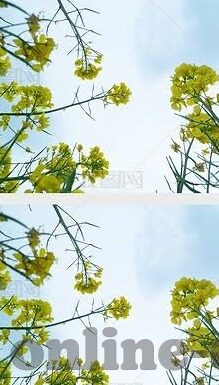 麻豆文化传媒精品一区-麻豆文化传媒——探索现代媒介下的文化创新实例