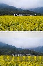 麻豆映画传媒在线观看-光影纷飞，麻豆映画传媒的在线艺术殿堂