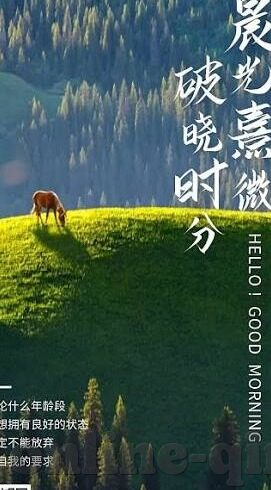 生命伦理学-生命伦理学的多维视角，从理论到实践的深度对话