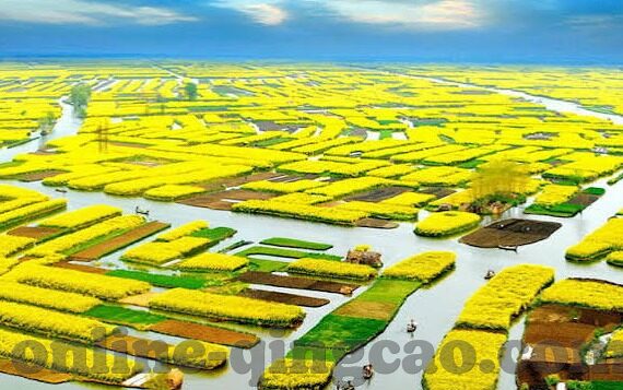 糖心交友app官网-糖心交友app——线上邂逅的甜蜜乐园
