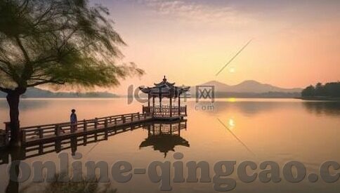 www.中文字幕5566.com-探索网络文化的多元视角，www.中文字幕5566.com的背后故事