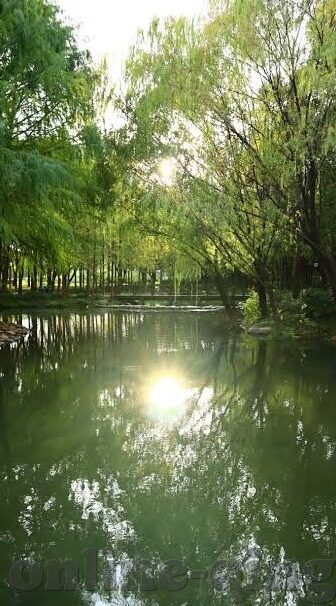 亚洲精品一区二区三区-亚洲文化与地域特色的深度交融——一区、二区、三区的独特魅力